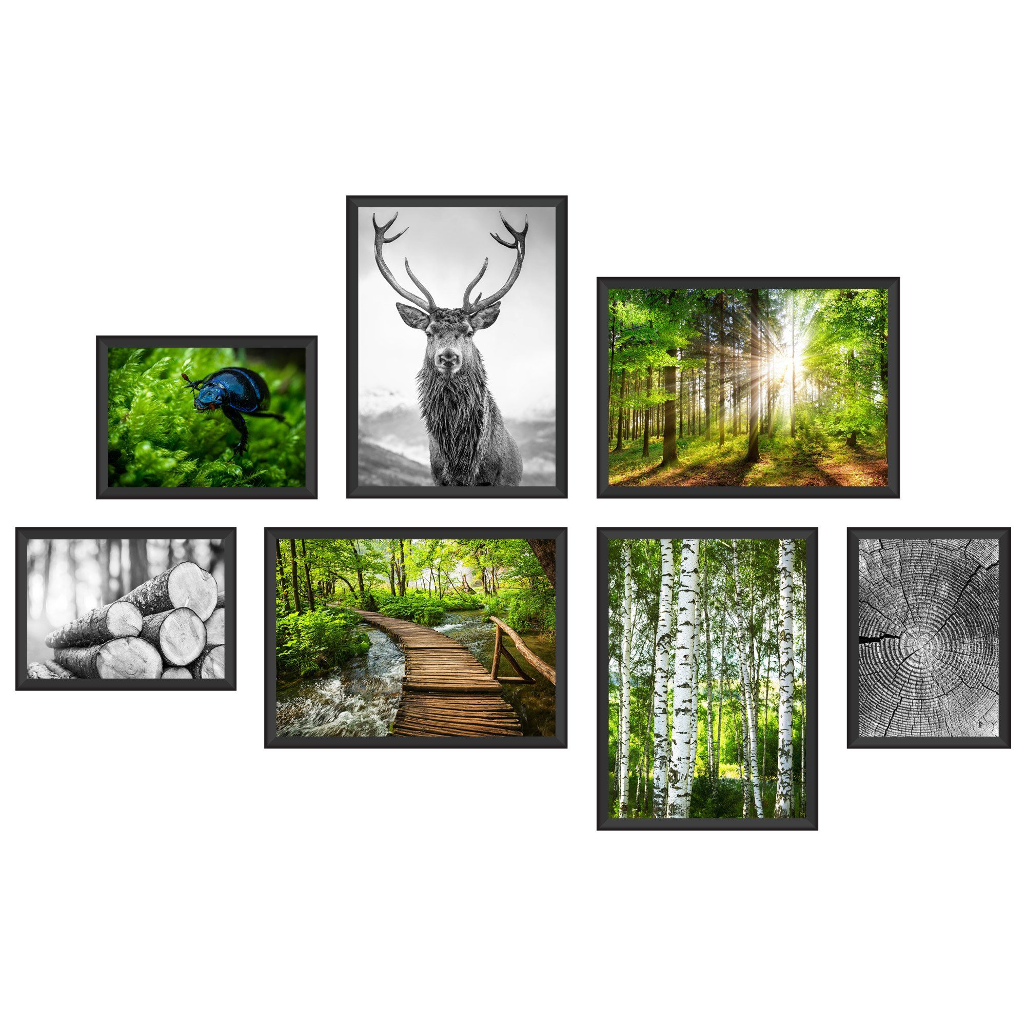 WallSpirit Poster Poster Set "Wald" – 7 Motive beidseitig bedruckt – OHNE Rahmen, (7er Set)