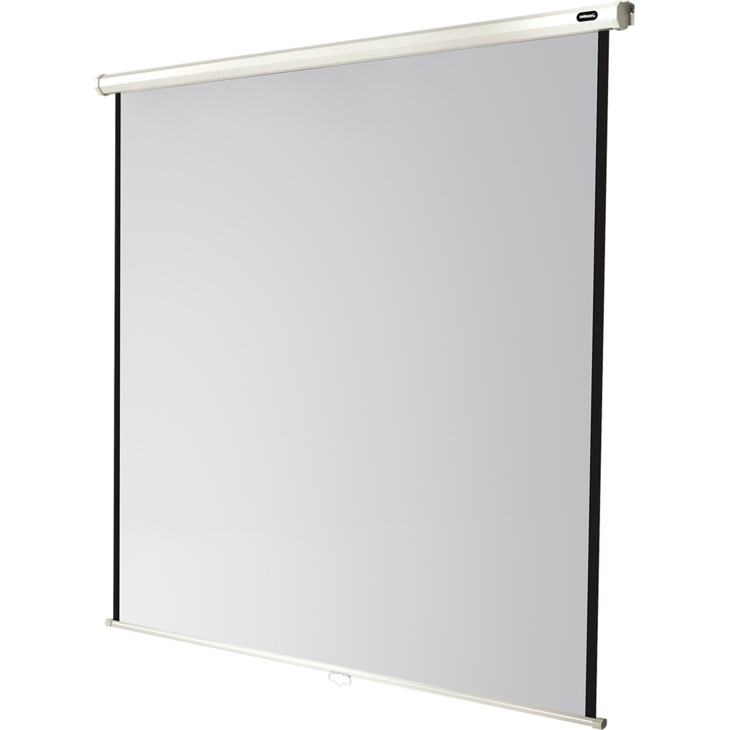 Celexon Economy Rolloleinwand (schwarze Rückseite)