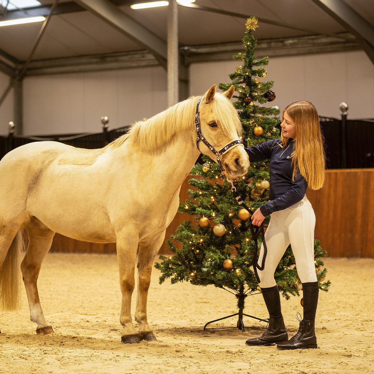 QHP Kniestrümpfe Kniestrümpfe Weihnachten (2er-Pack)