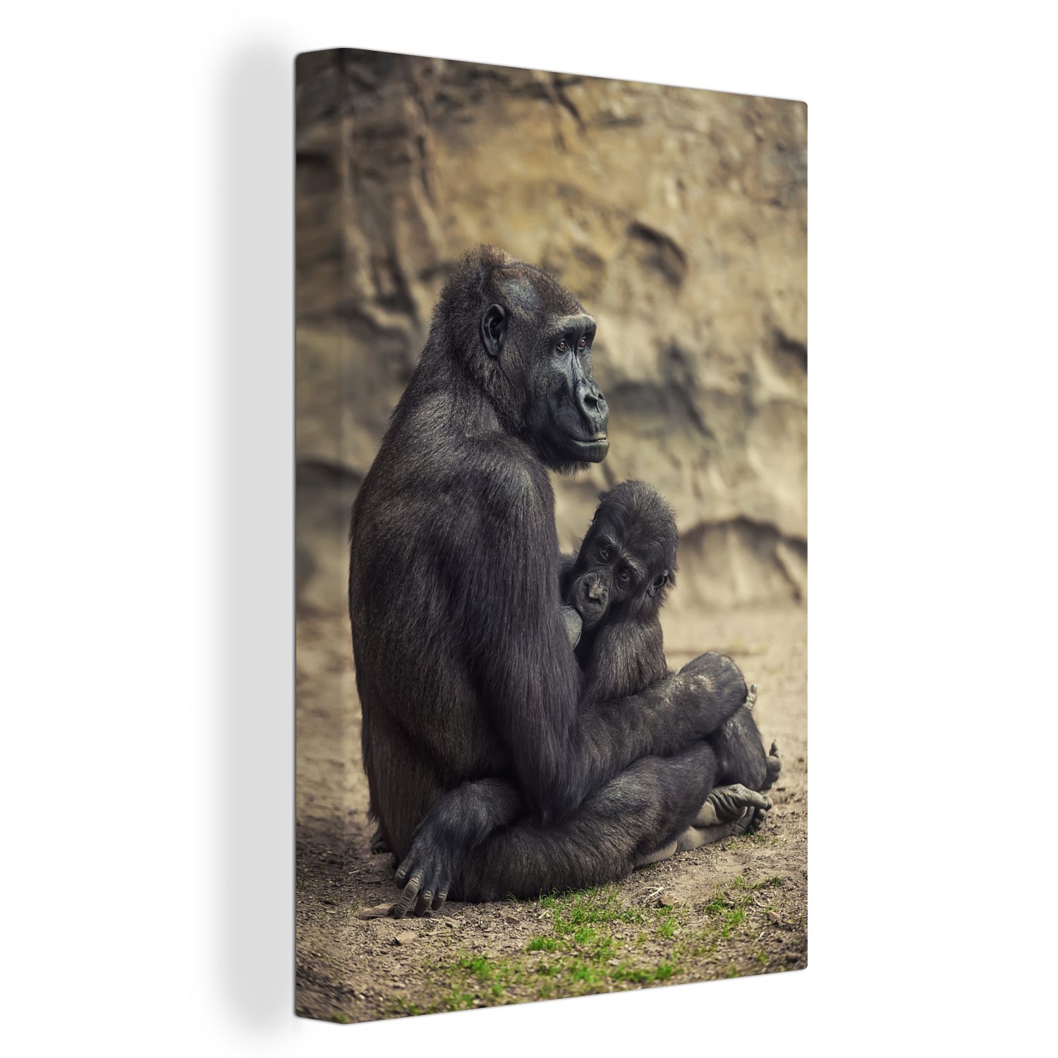 OneMillionCanvasses® Leinwandbild Ein Gorilla und sein Affenbaby, (1 St), Leinwandbild fertig bespannt inkl. Zackenaufhänger, Gemälde, 20x30 cm