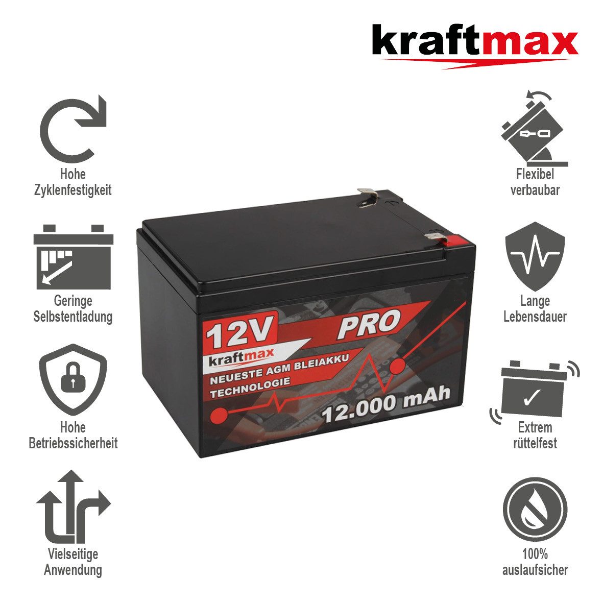 kraftmax Industrial Pro Bleiakku [ 12V / 12Ah ] Akku