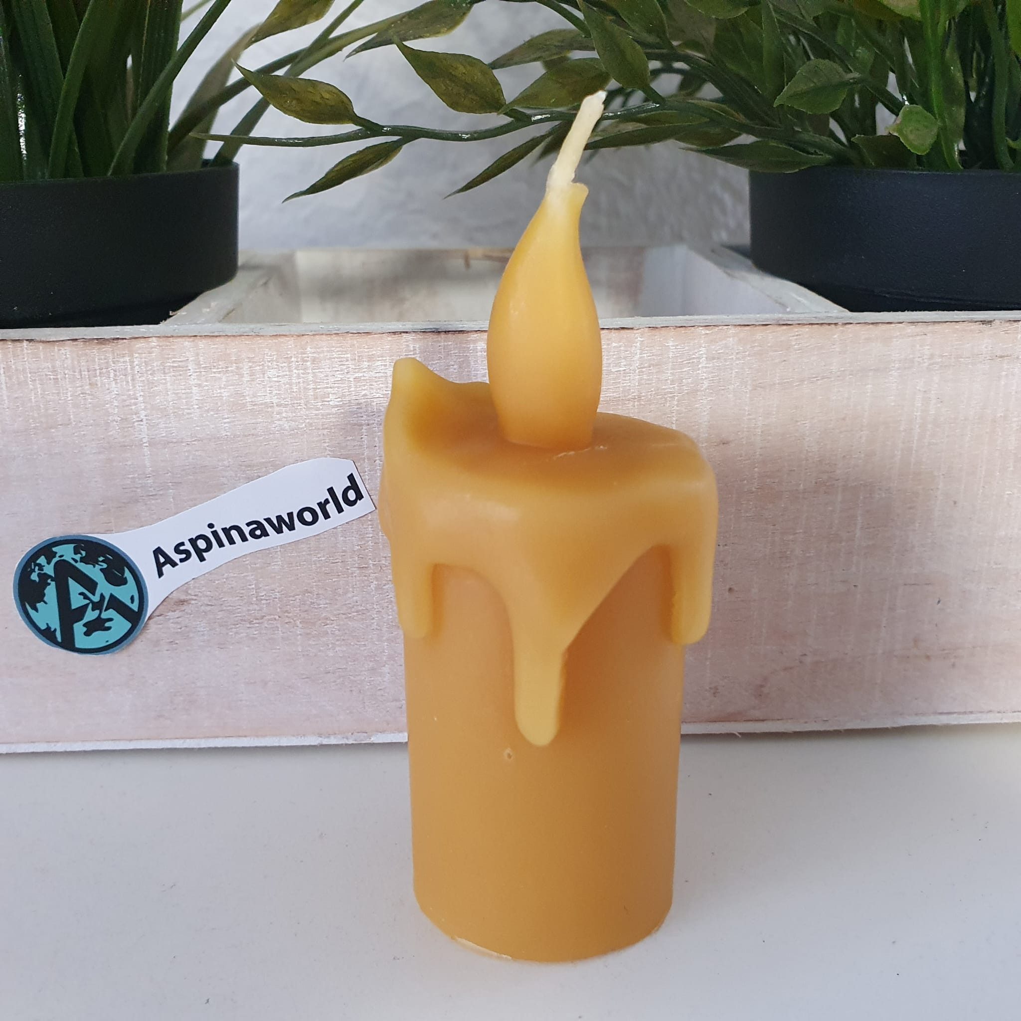 Aspinaworld Bienenwachskerze Schmelzende Kerze mit Flamme 10 cm – Kerze aus Bienenwachs