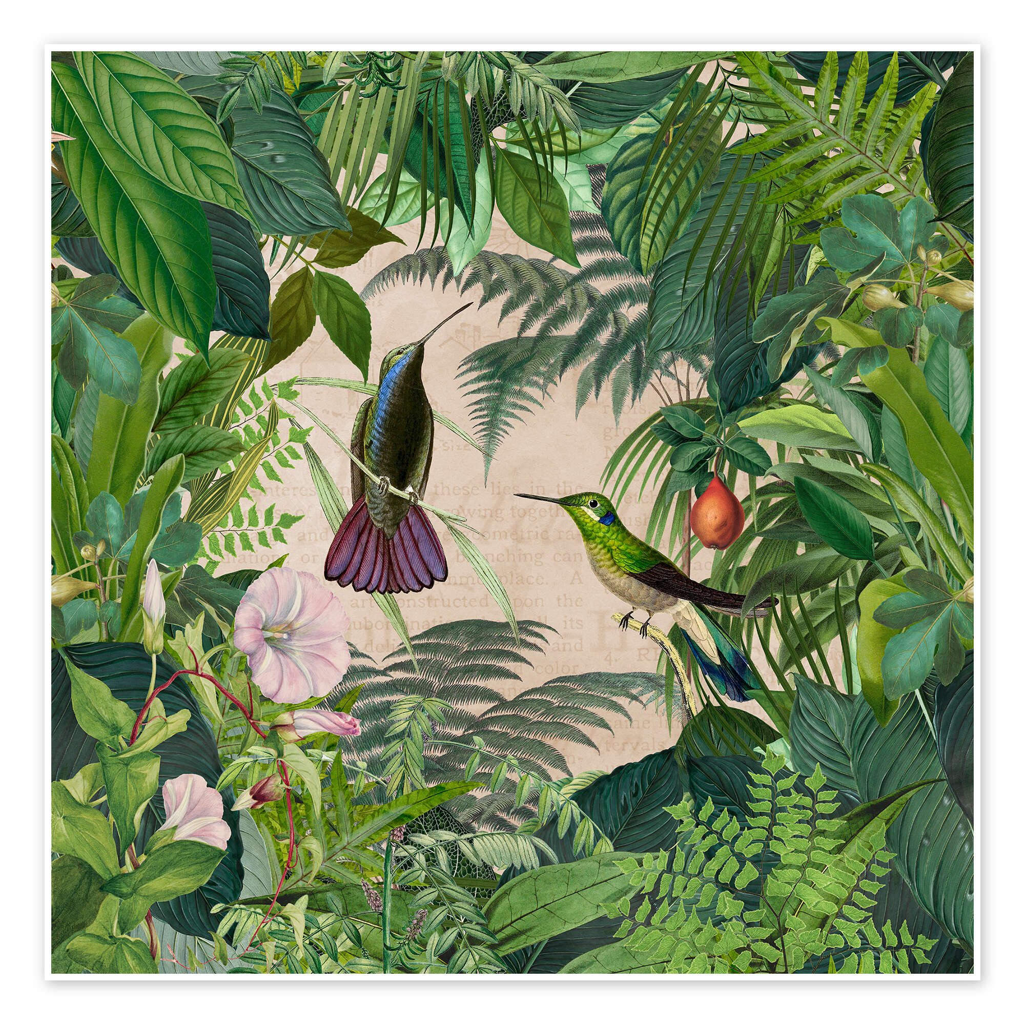 Posterlounge Wandbild Tropischer Kolibri-Dschungel, Andrea Haase, erhältlich als Poster, Leinwandbild, Wandsticker oder Acrylglasbild