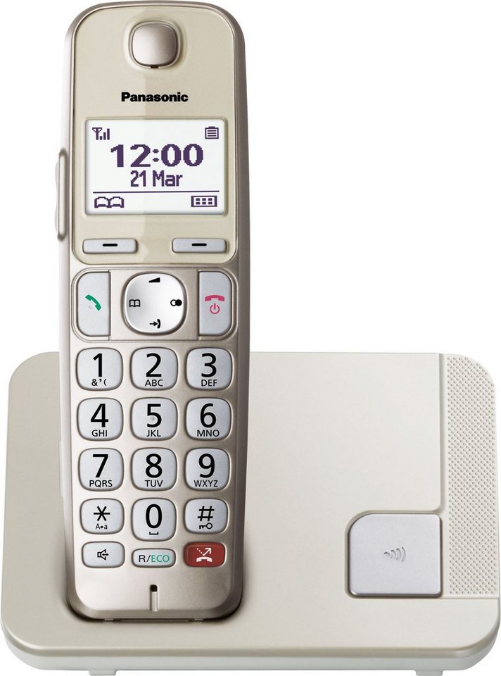 Panasonic KX-TGE250GN DECT-Telefon (Mobilteile: 1), Bis zu 1000 Rufnummern  sperrbar