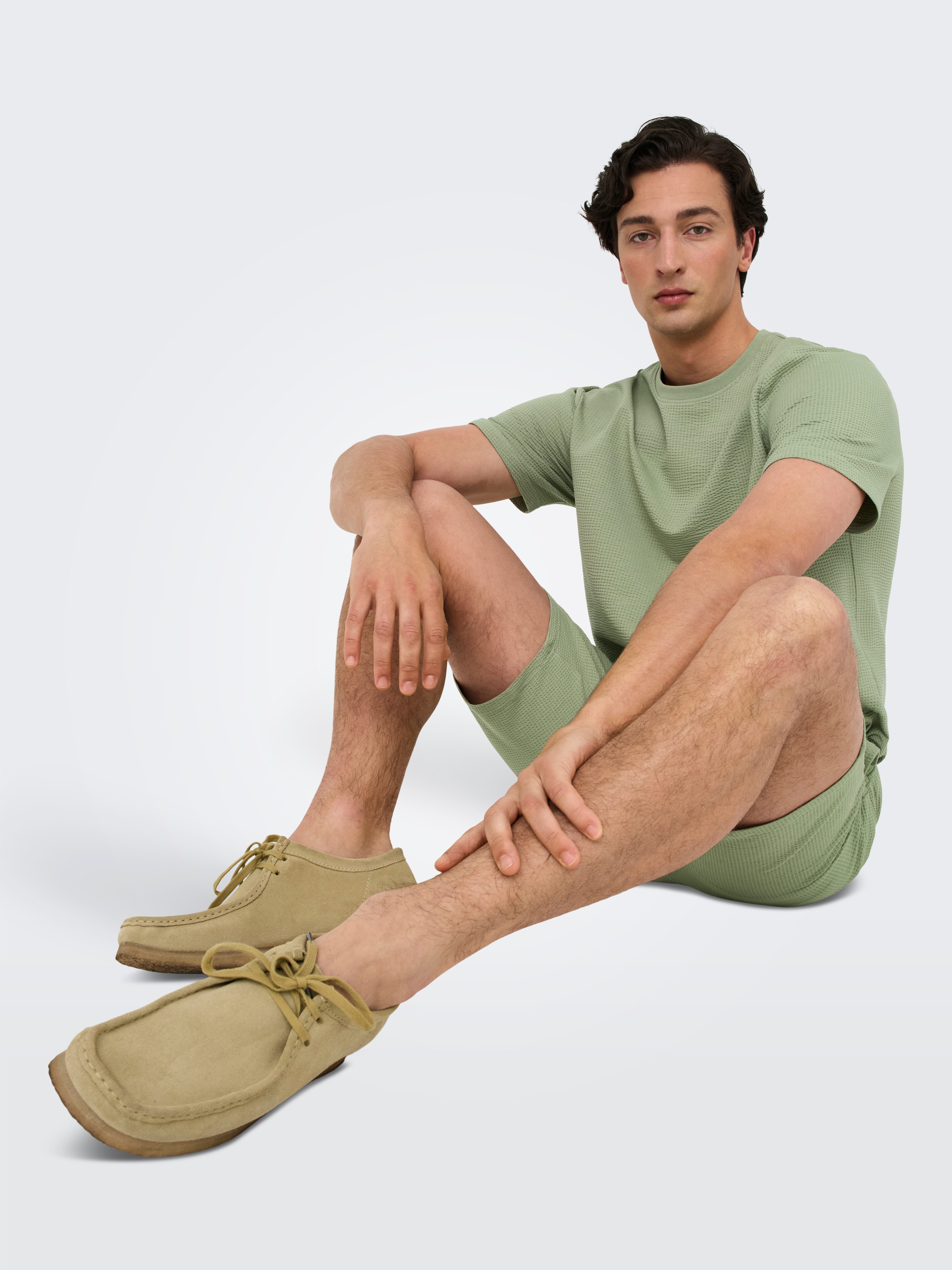 ONLY & SONS Rundhalsshirt ONSKIAN LIFE REG SEERSUCKER SS TEE NOOS