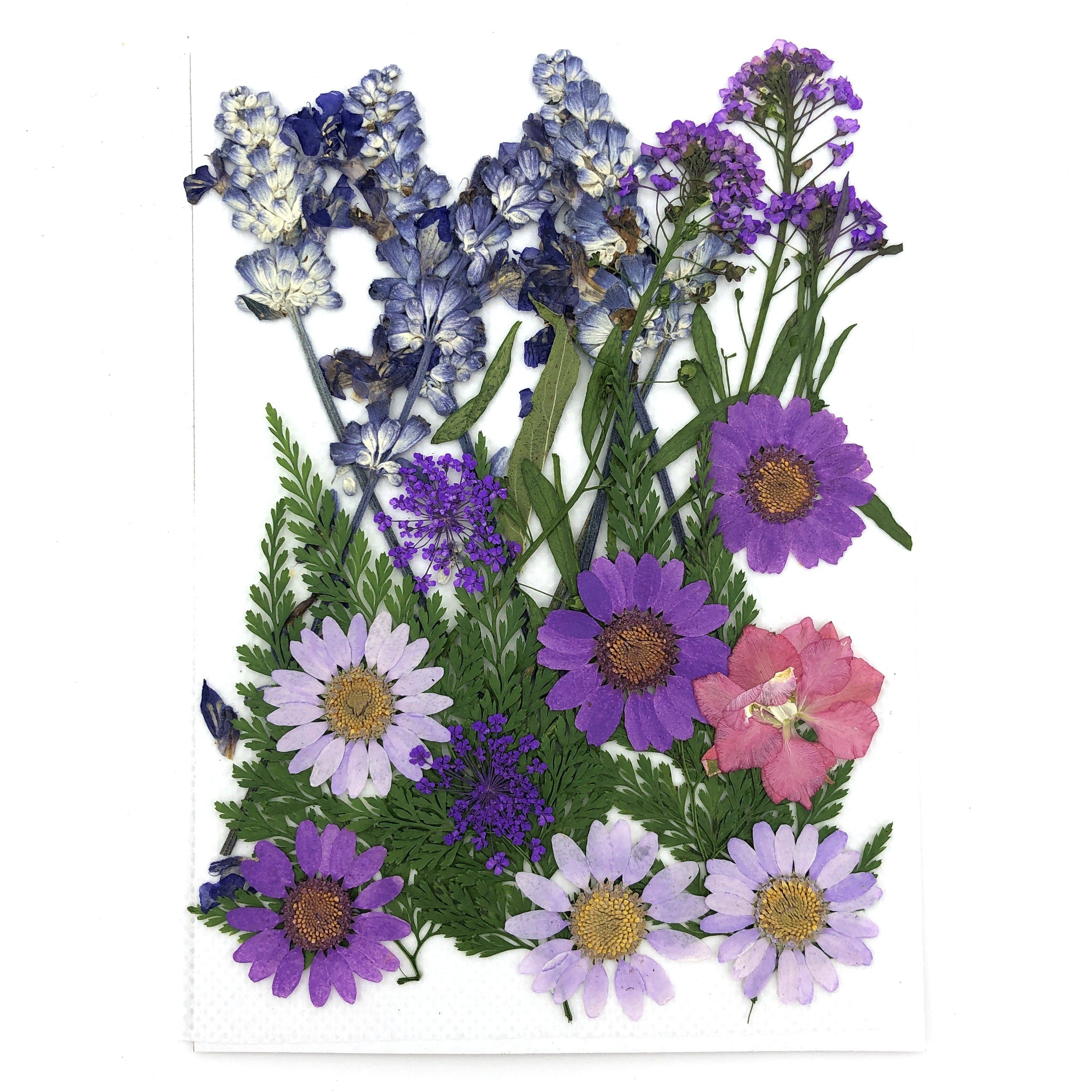 Farben vielen BlauLila, Blüten und Kunstharz.Art Gepresste in Trockenblume - Blumen