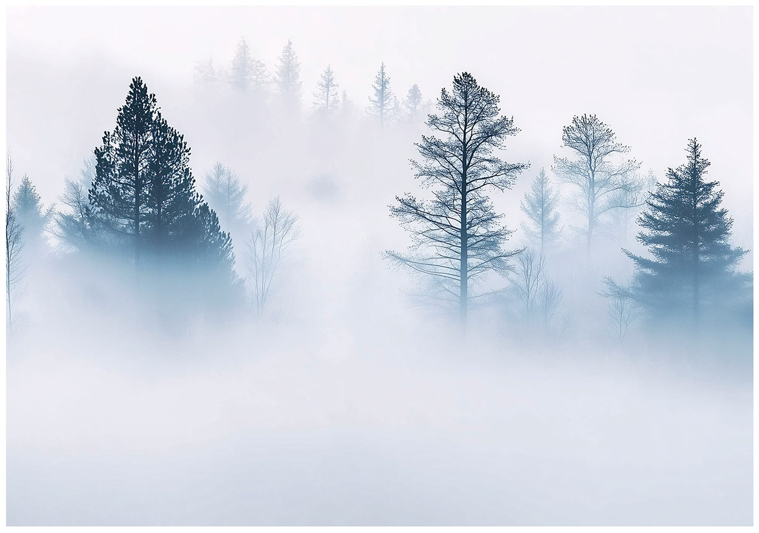 Wallarena Fototapete Wald Baum - Mehrfarbig - Modern - Vlies - Schlafzimmer, glatt, (2 St), 100x70cm