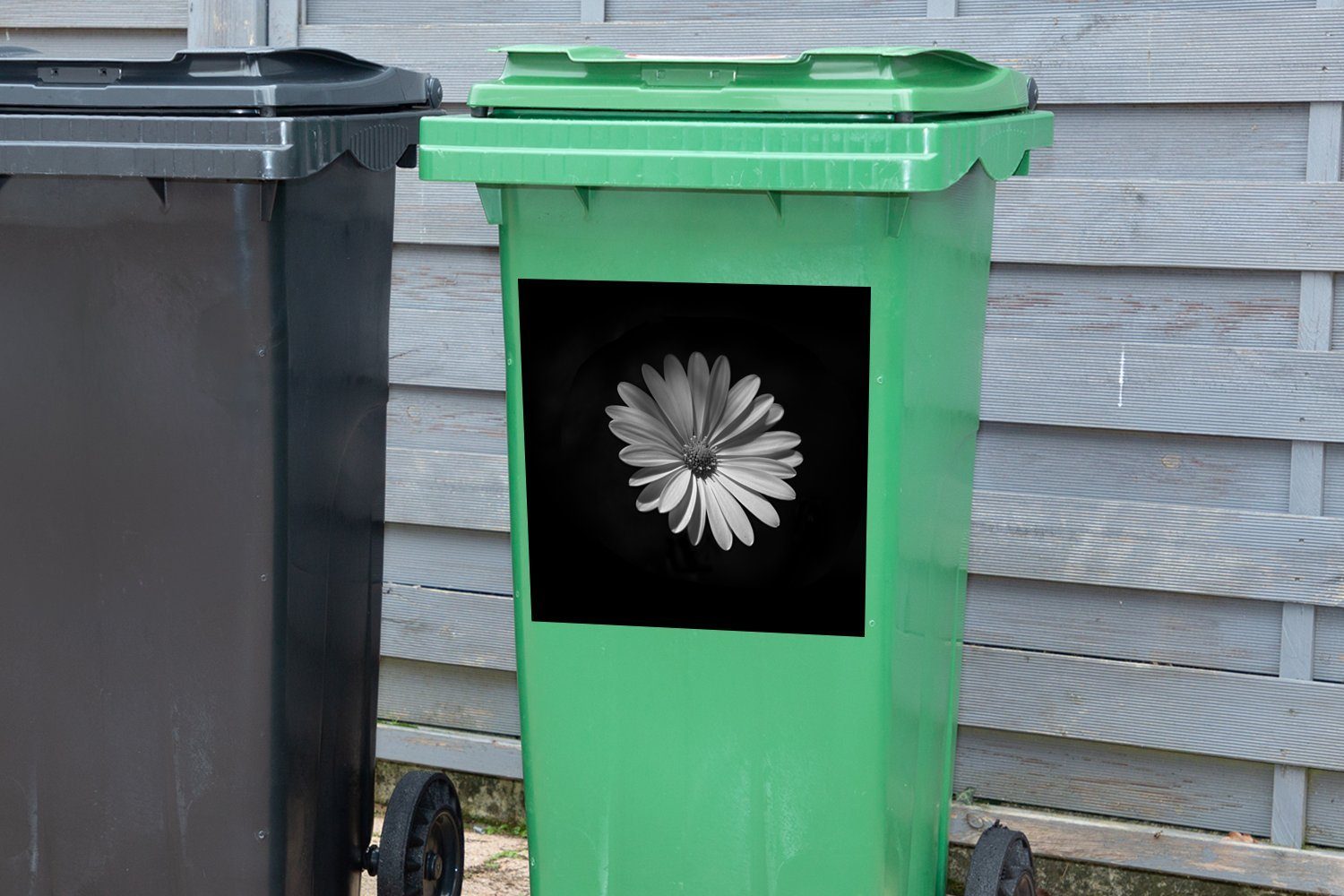 Gänseblümchen Sticker, Mülltonne, MuchoWow Mülleimer-aufkleber, auf St), Hintergrund schwarzem Abfalbehälter Ein weißes Container, (1 Wandsticker