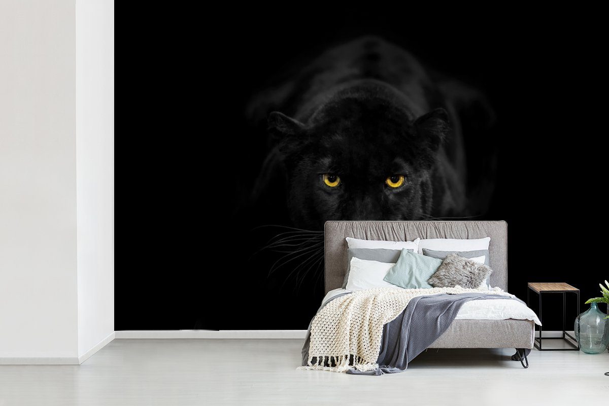 - Panther - Schlafzimmer, für Augen, Fototapete - (6 Matt, Tiere St), Kinderzimmer, bedruckt, Wallpaper Vinyl MuchoWow Wohnzimmer, Tapete Schwarz