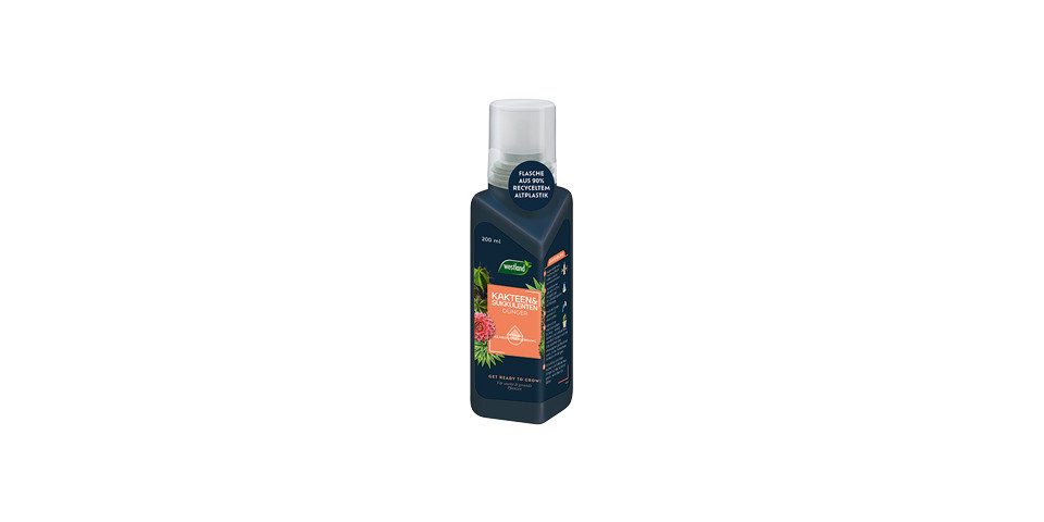 Westland Blumendünger Westland Kakteen- & Sukkulenten Dünger 200 ml