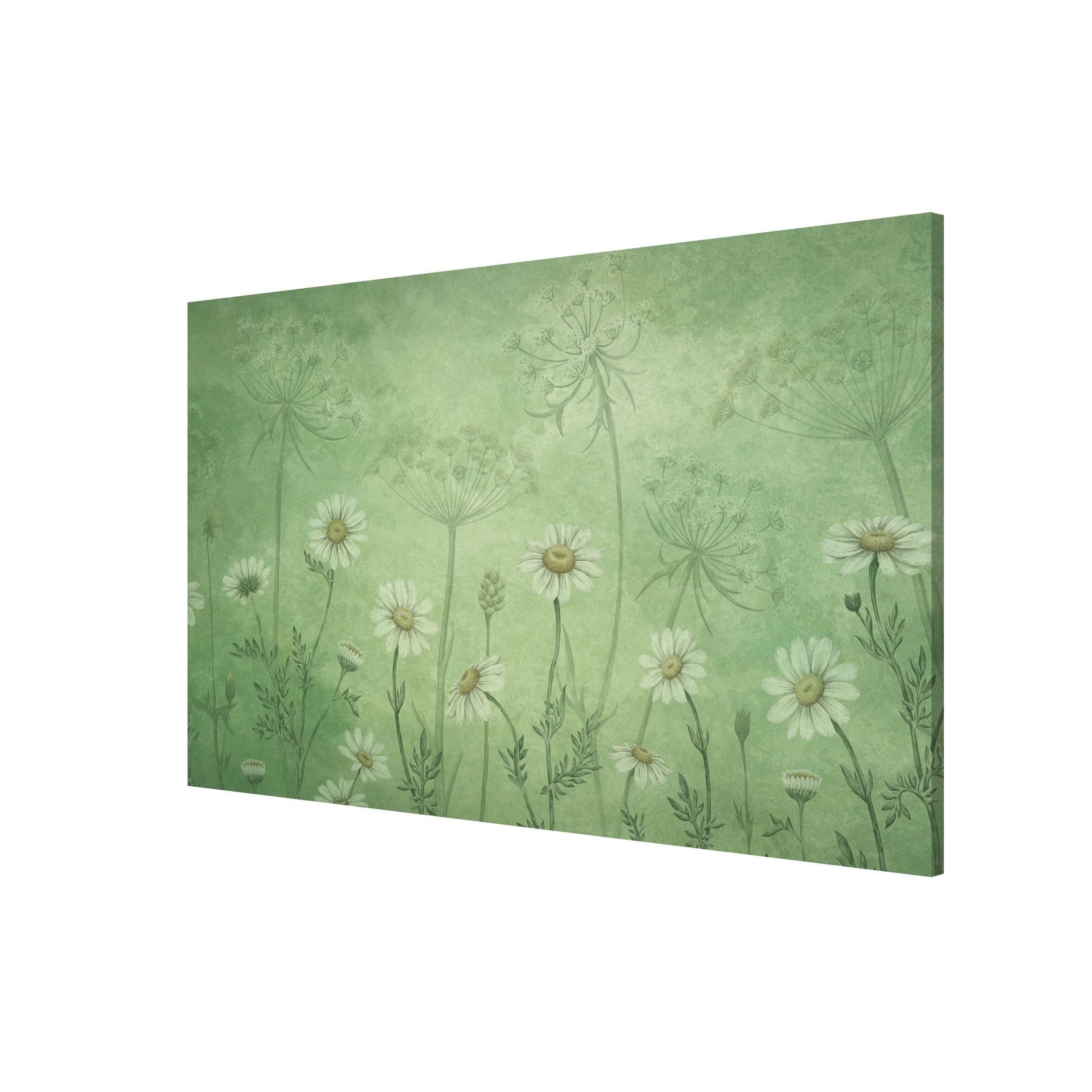Bilderdepot24 Magnettafel Küche grün Gänseblümchen im grünen Nebel, (1-tlg., Magnetboard Pinnwand für die Wand - metallische Tafel für Magnete), Magnetwand groß mit Motiv Büro Memoboard magnetisch Querformat