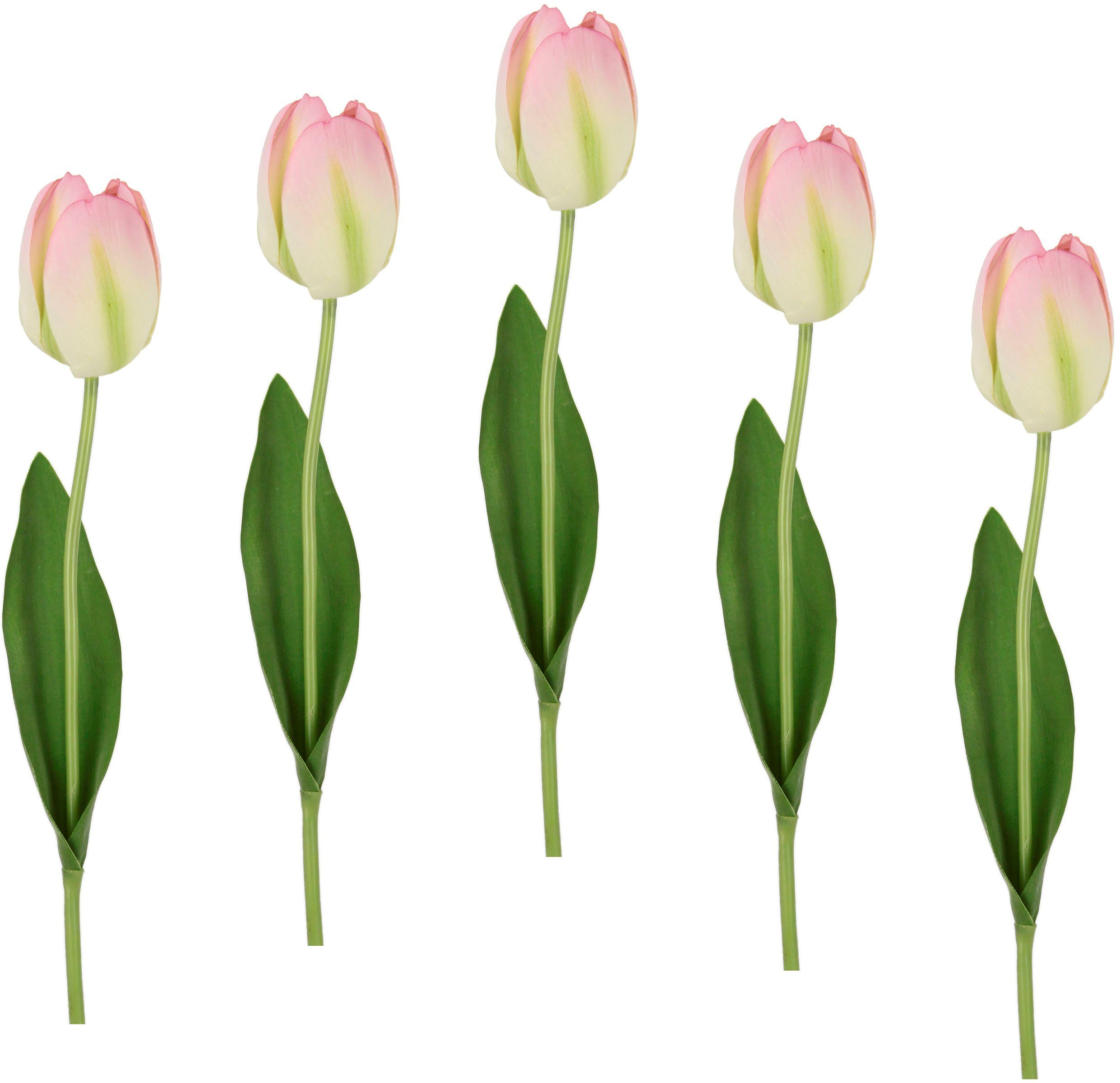 Kunstblume Real Touch Tulpen, I.GE.A., Höhe 67 cm, 5er Set künstliche Tulpenknospen, Kunstblumen, Stielblume weiß/rosa | Kunstblumen