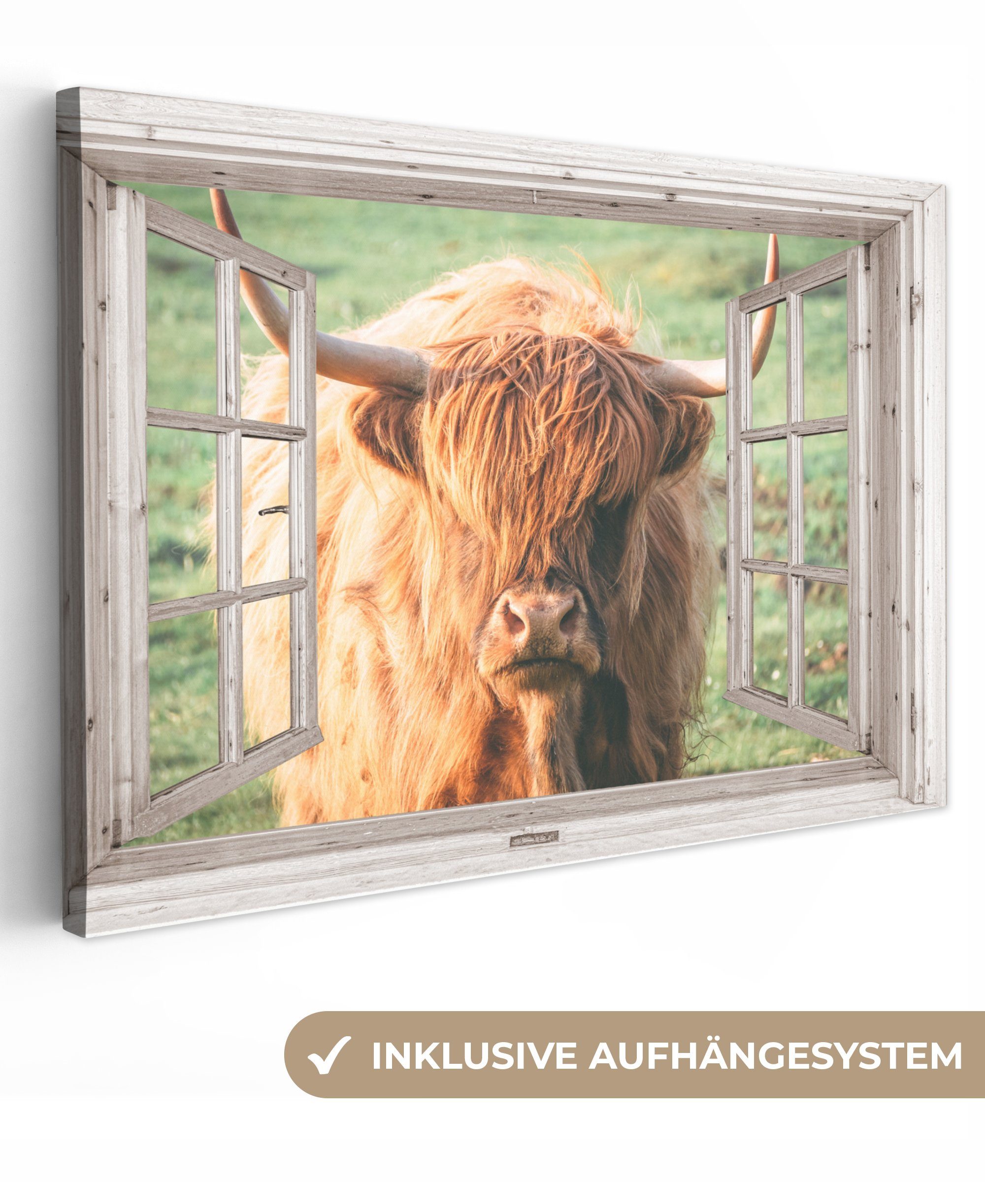 OneMillionCanvasses® Leinwandbild Schottischer Highlander - Ansicht - Fenster - Tier, (1 St), Wandbild Leinwandbilder, Aufhängefertig, Wanddeko, 30x20 cm