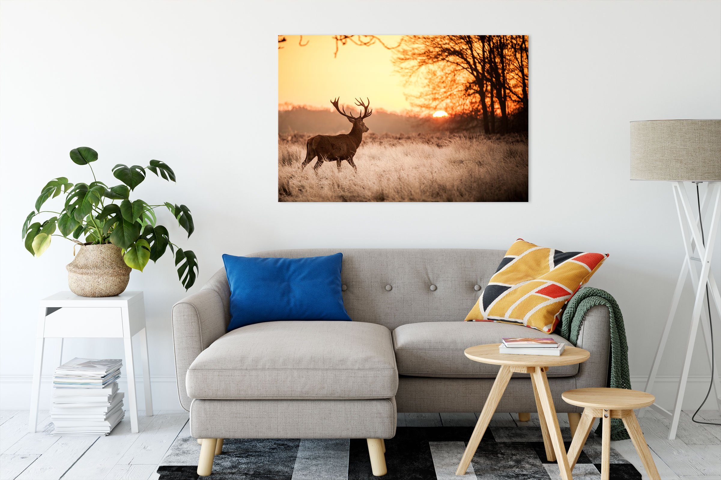 Pixxprint Leinwandbild Hirsch im Sonnenuntergang, Hirsch im Sonnenuntergang günstig online kaufen