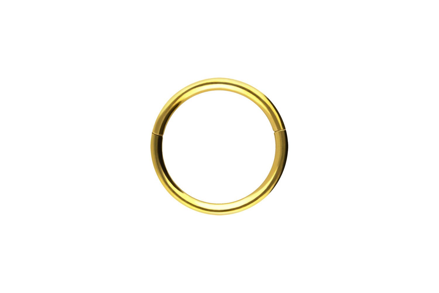 PIERCINGLINE Nasenpiercing Chirurgenstahl Segmentring Clicker Ohrpiercing S günstig online kaufen