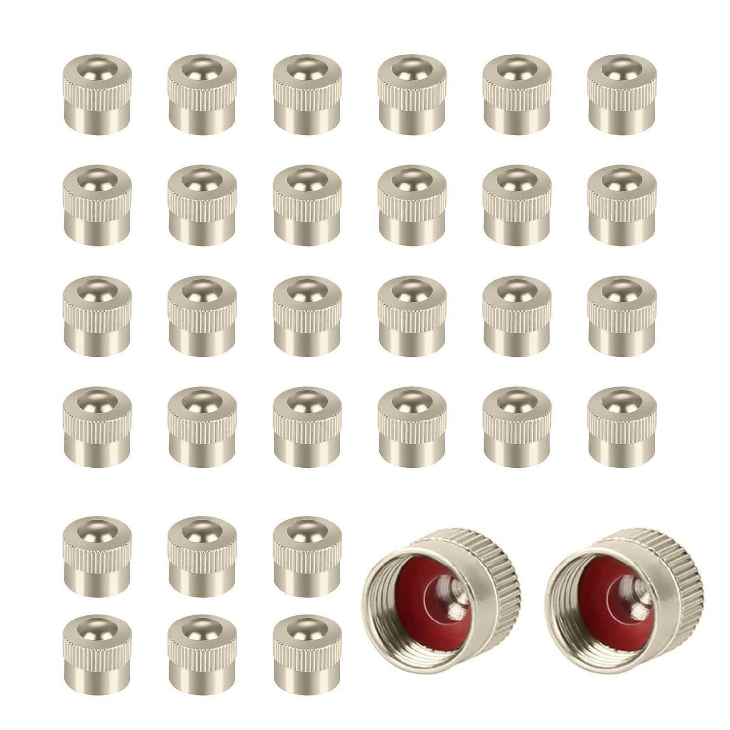 LuxusKollektion Ventilkappe Ventilkappen 32 Stück Edelstahl Gummiring wasserdicht universell