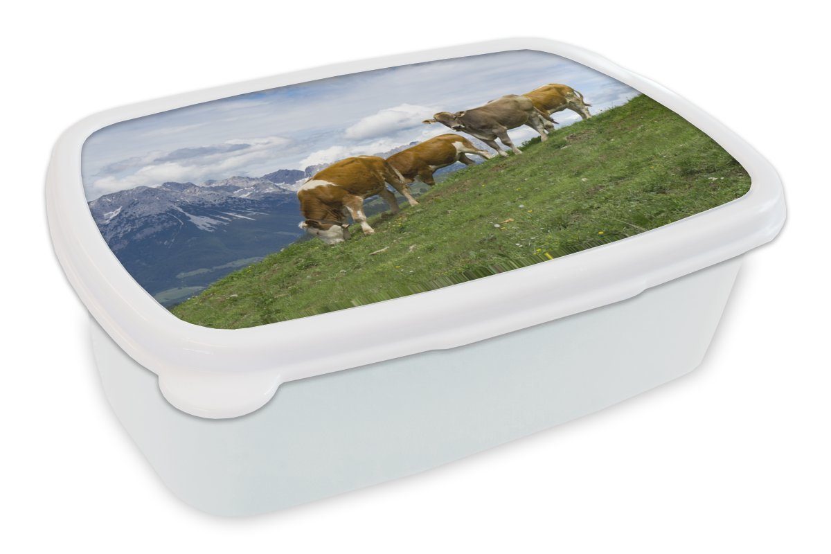 MuchoWow Lunchbox Kühe - Landschaft - Österreich, Kunststoff, (2-tlg), Brotbox für Kinder und Erwachsene, Brotdose, für Jungs und Mädchen weiß