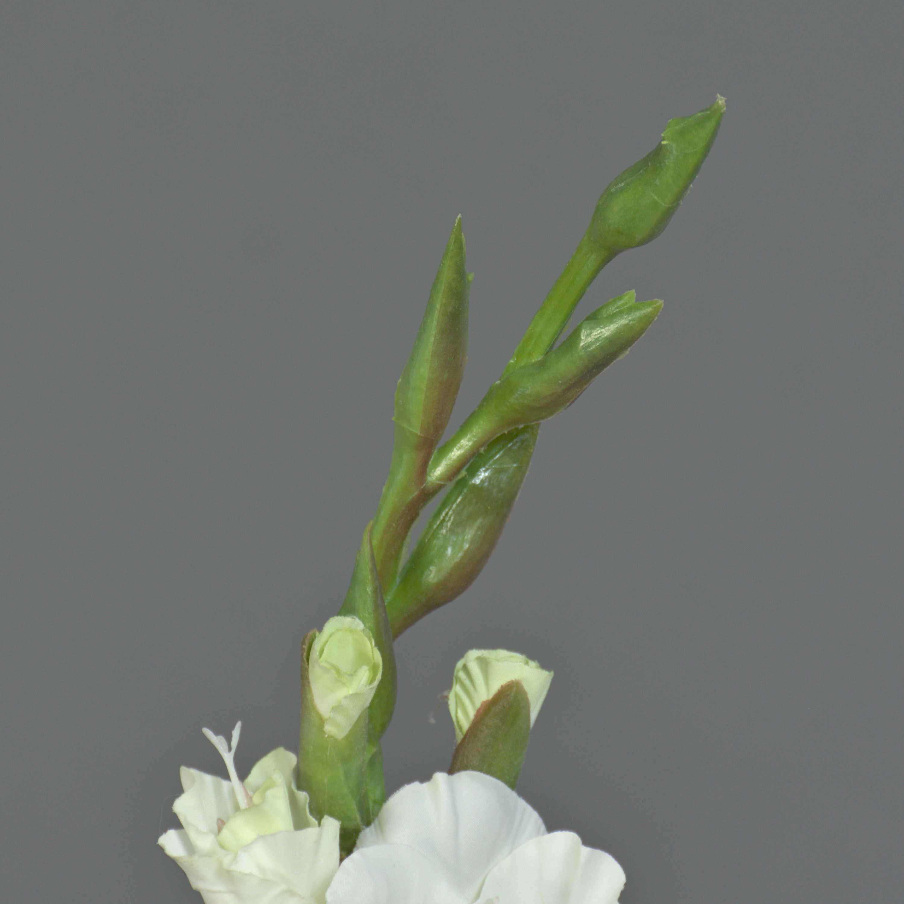 Kunstblume Künstliche Blume Gladiole ELEA, weiß, 85cm, Ø Gladiole, artplants, Höhe 80.0 cm – Bild 4 von 5