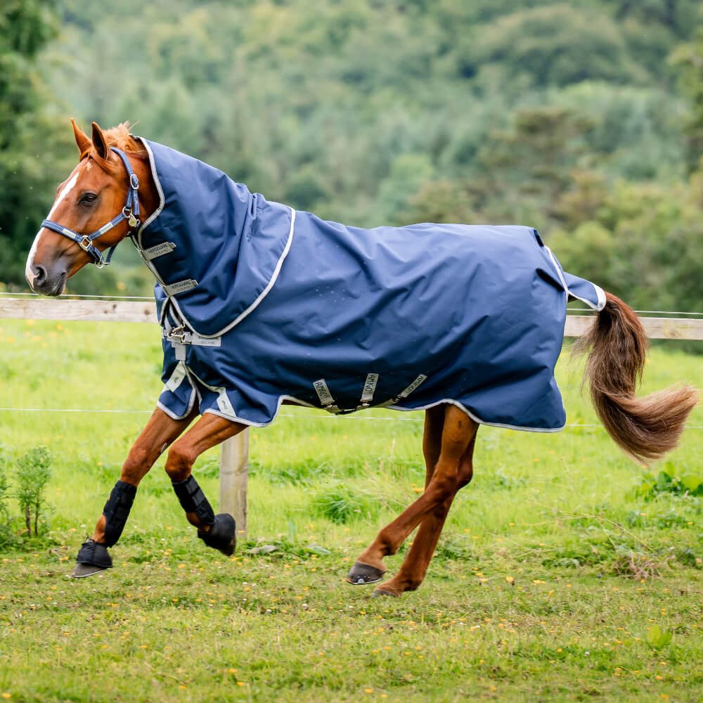 Pferde-Thermodecke Horseware Amigo Bravo 12 Plus Turnout Medium 250g