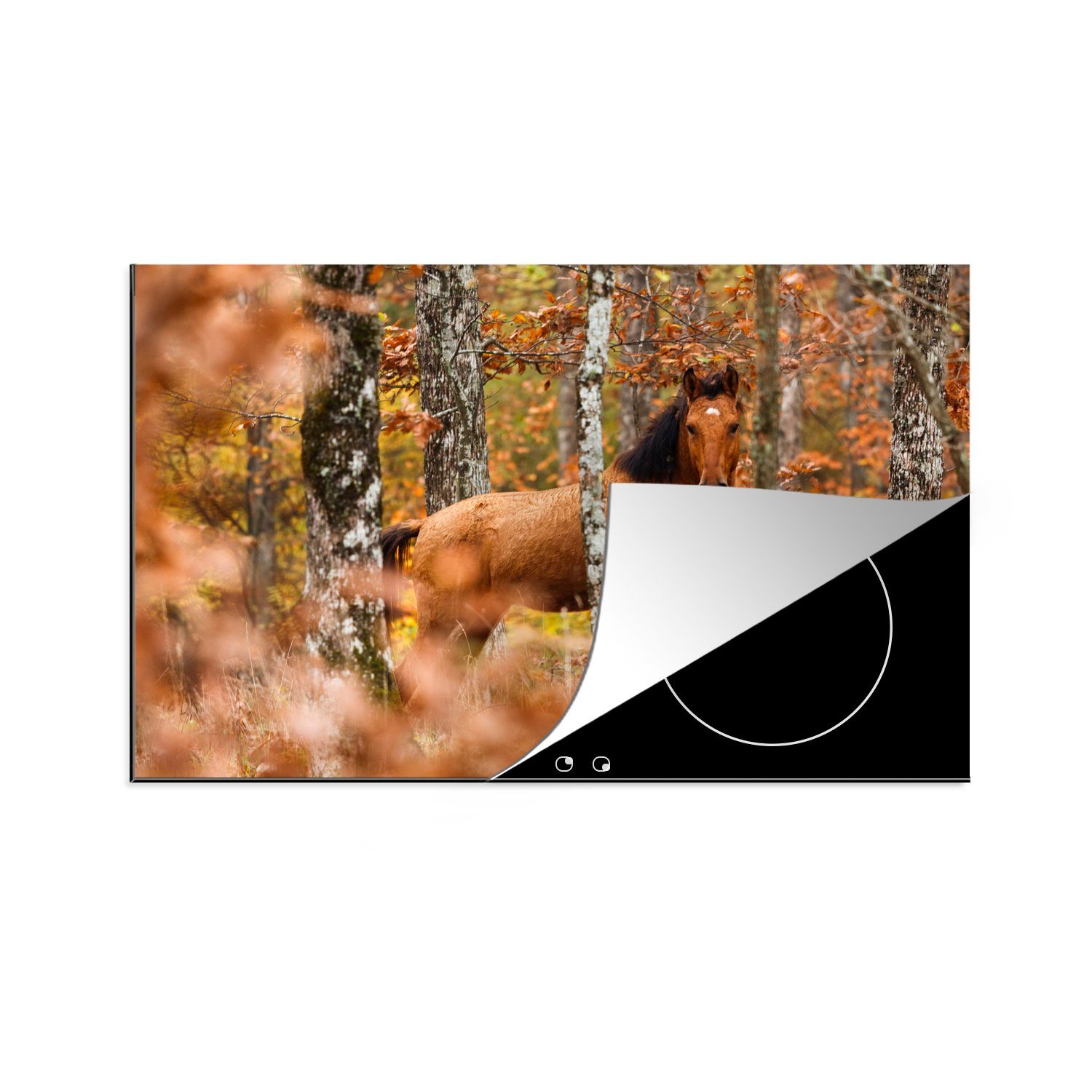 Herdblende-/Abdeckplatte cm, die - 81x52 Wald Ceranfeldabdeckung Herbst, Vinyl, für MuchoWow küche, - tlg), (1 Pferd Schutz Induktionskochfeld