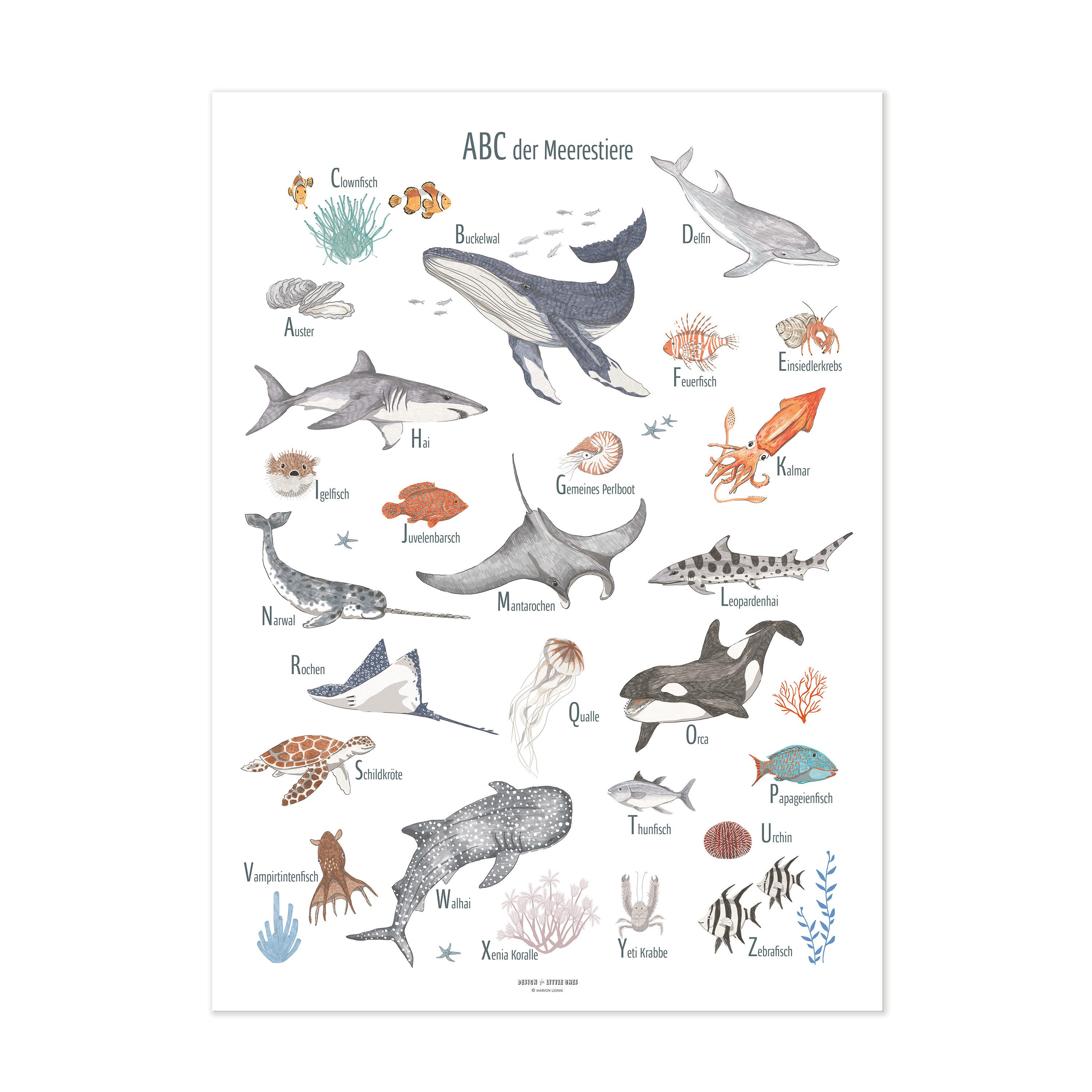 Designforlittleones Poster Meeres-ABC, kunterbunte Reise durch die Unterwasserwelt!