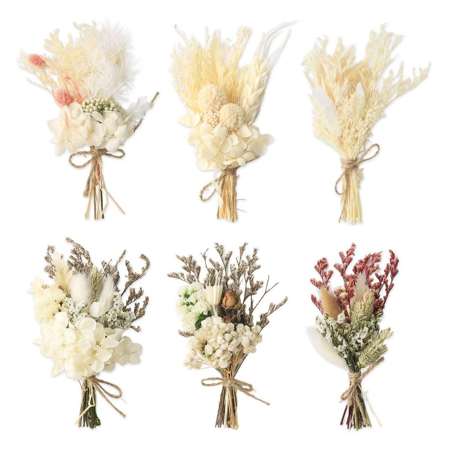 Trockenblume 6er Set Mini Trockenblumenstrauß Boho Deko, LuxusKollektion, Höhe 5 cm