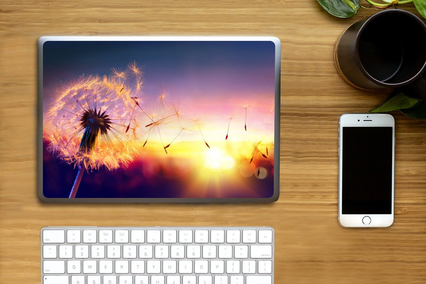 Thumbnail - MuchoWow Laptop-Aufkleber Löwenzahn - Blumen - Sonnenuntergang - Horizont - Nacht