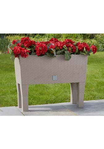 PROSPERPLAST Ящик для растений »Rato чехол Hi...