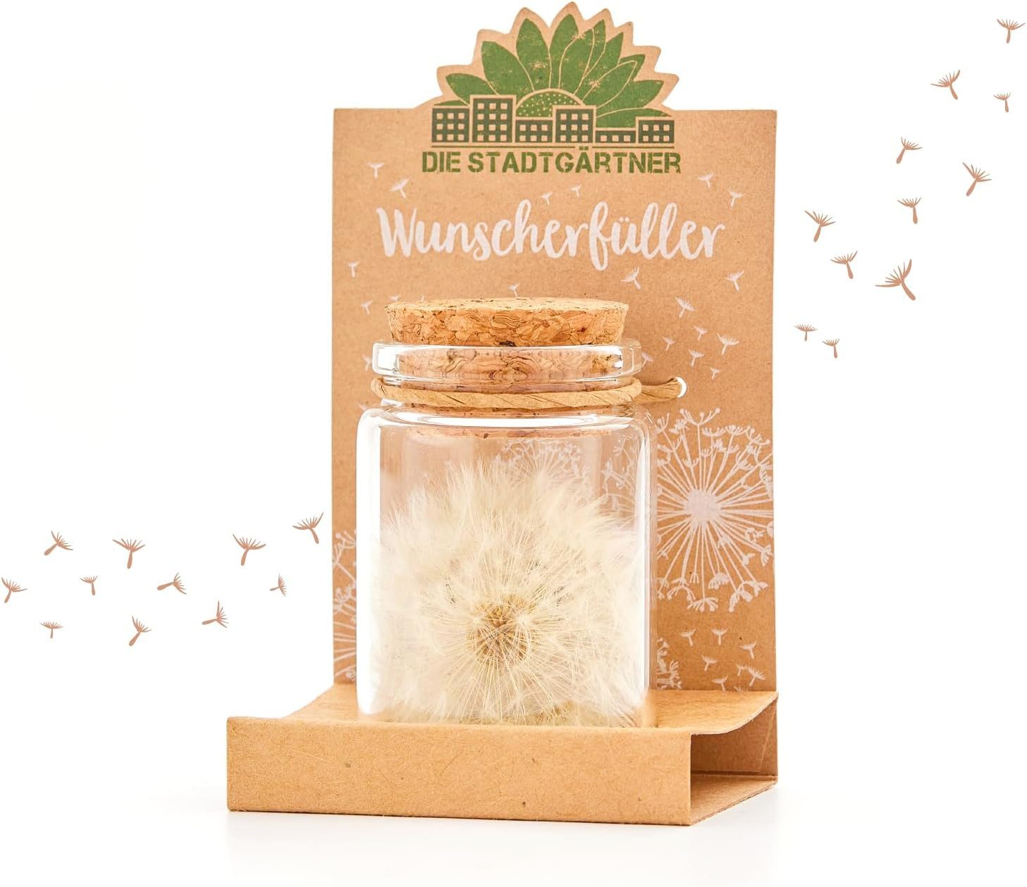 Trockenblume Wunscherfüller, Perfekte Geschenkidee für jeden Anlass Pustebl günstig online kaufen