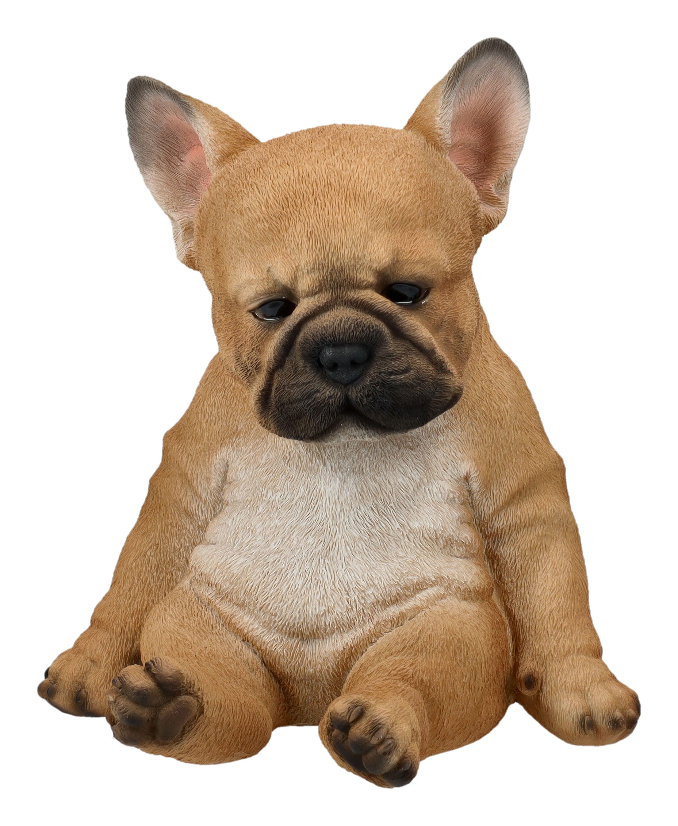 Figuren Shop GmbH Gartenfigur Französische Bulldogge Figur - Welpe K.O. - HotAnt - Dekofigur Deko