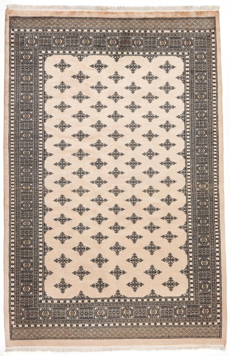 Orientteppich Pakistan Buchara 2ply 184x282 mm Höhe: 8 rechteckig, Handgeknüpfter Nain Orientteppich, Trading
