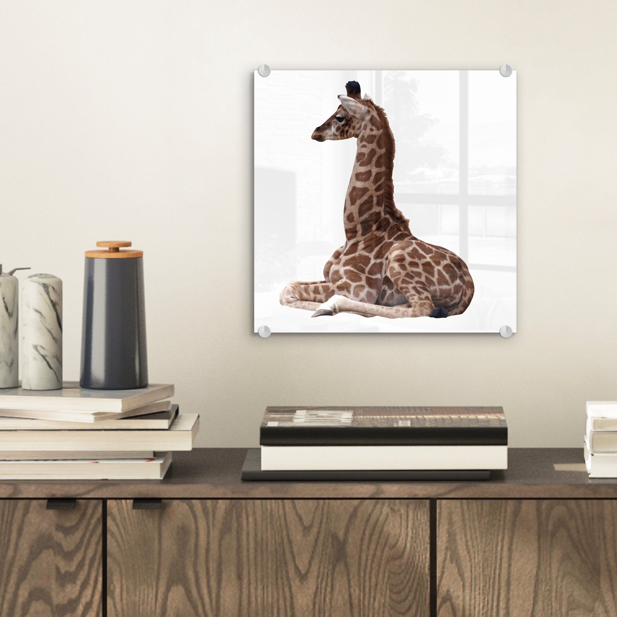 St), MuchoWow weißem Hintergrund, auf auf Wanddekoration Acrylglasbild - Glas Bilder Wandbild Glas auf Baby-Giraffe Glasbilder - Foto (1 -