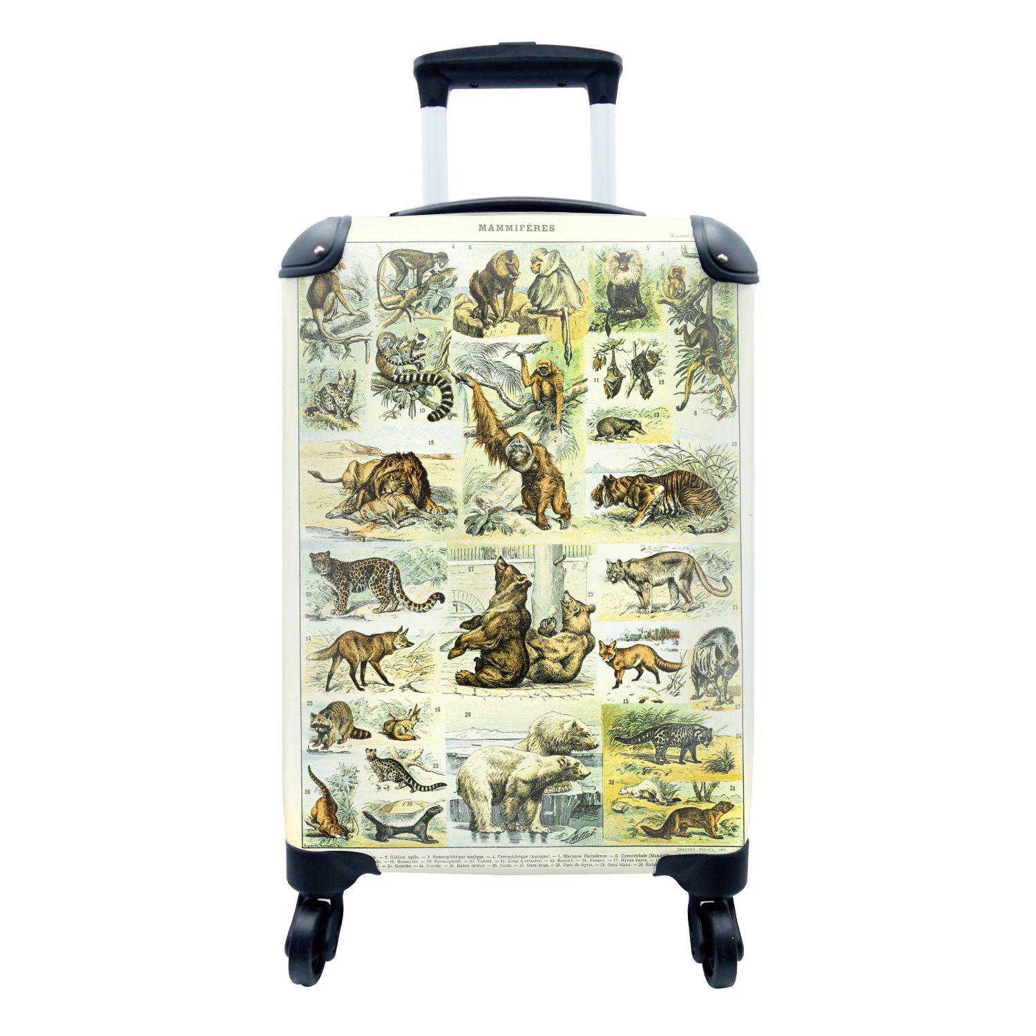 MuchoWow Handgepäckkoffer Tiere - Affe - Bär, 4 Rollen, Reisetasche mit rollen, Handgepäck für Ferien, Trolley, Reisekoffer