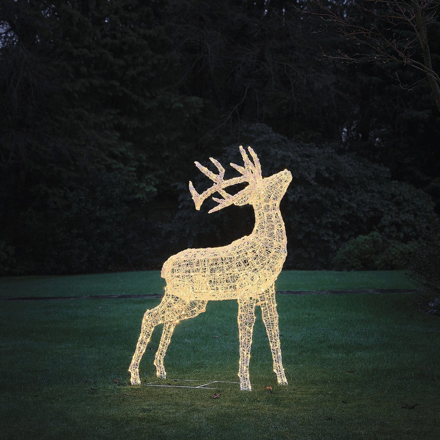 Lights4fun LED-Dekofigur Bicolor LED-Rentier Hirsch XL Swinsty mit 450 LEDs