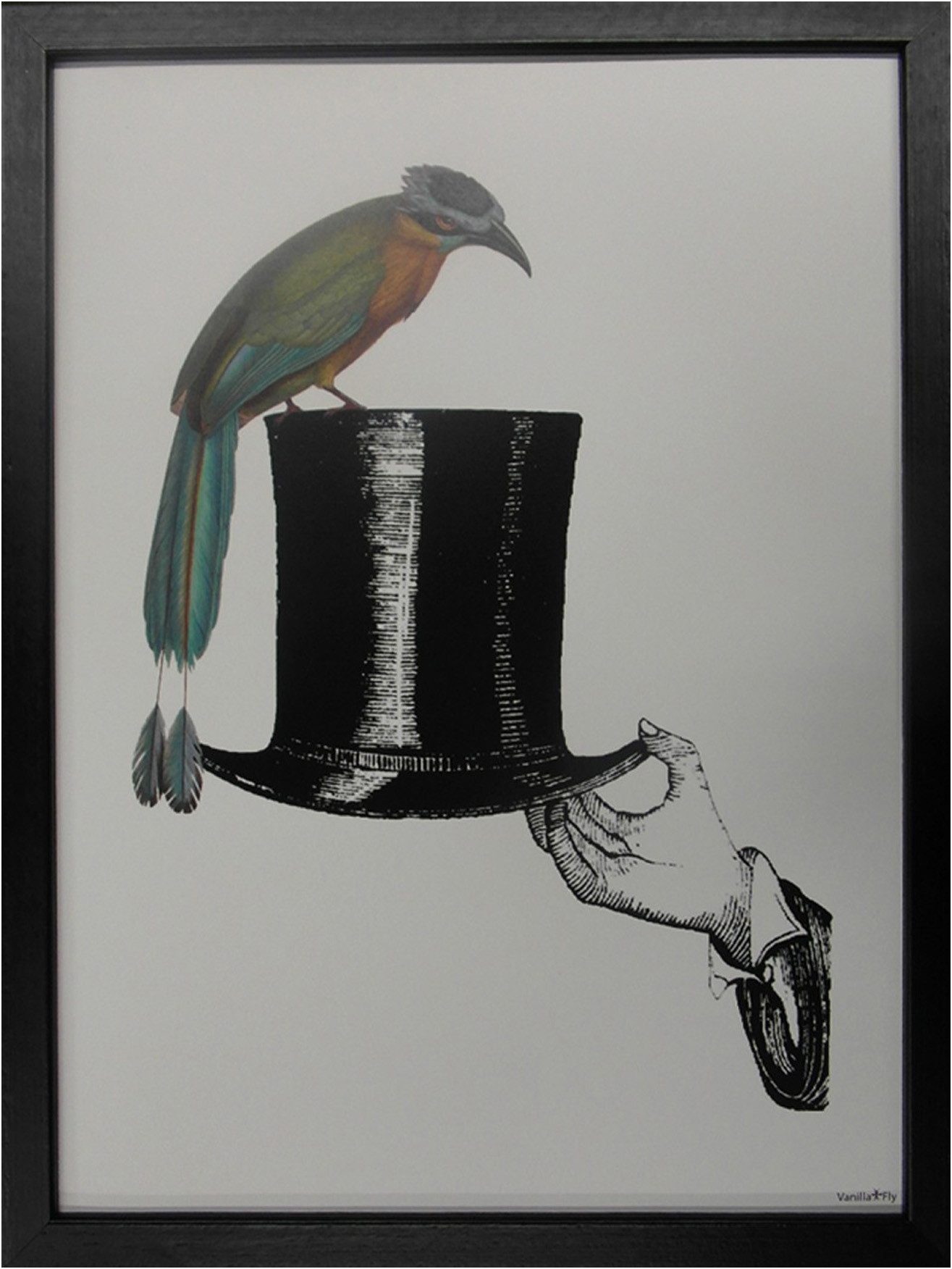 More2Home Wandbild MondiArt, HAT AND BIRD, Rahmen schwarz, 30 x 40 cm