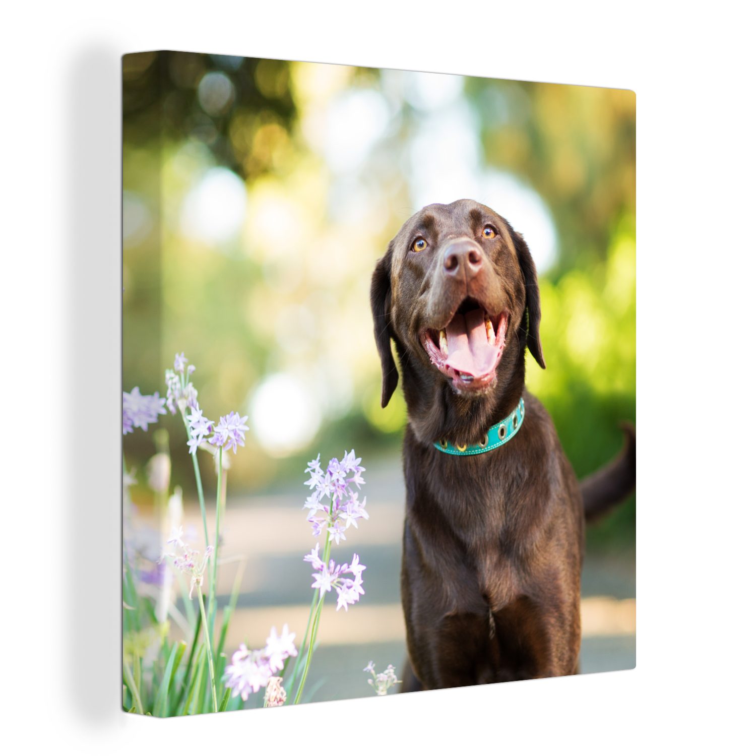 OneMillionCanvasses® Leinwandbild Ein Labrador Retriever mit schönen Blumen, (1 St), Leinwand Bilder für Wohnzimmer Schlafzimmer
