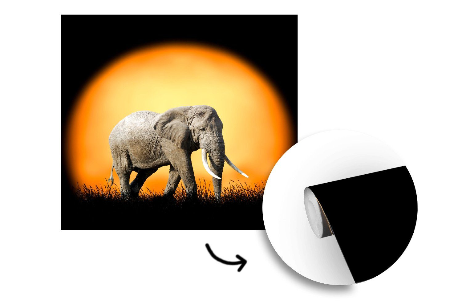 Sonne MuchoWow oder St), Vinyl Schlafzimmer, - Wohnzimmer Elefant Zähne, bedruckt, Wandtapete Fototapete für - Matt, (5 Tapete