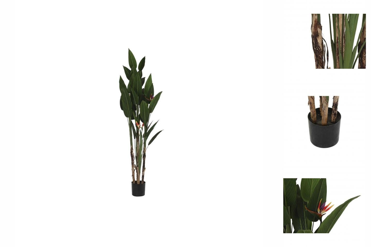Künstliche Zimmerpflanze Dekorationspflanze DKD Home Decor, cm Decor 90 90 20 x Höhe Home 200 cm, DKD x