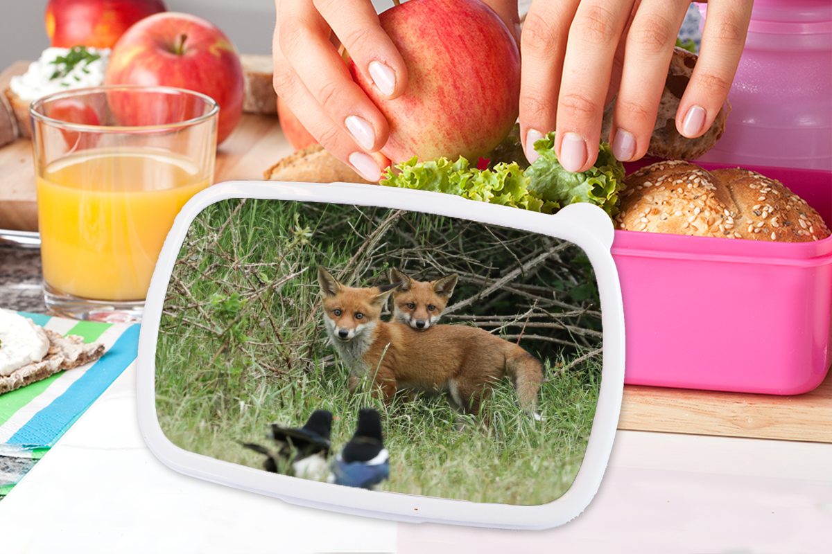 MuchoWow Lunchbox Tiere (2-tlg), Brotbox - Erwachsene, - Brotdose Snackbox, Füchse, Vogel rosa für Kunststoff Kunststoff, Kinder, Mädchen
