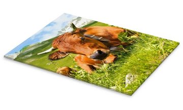 Posterlounge Acrylglasbild Editors Choice, Kuh mit Glocke auf der Alm, Fotografie