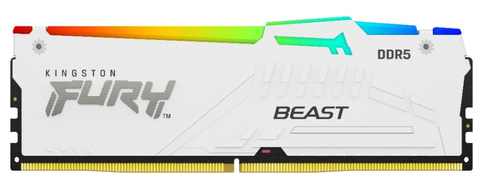 Kingston Kingston FURY Beast RGB - DDR5 - Kit - 16 GB: PC-Arbeitsspeicher