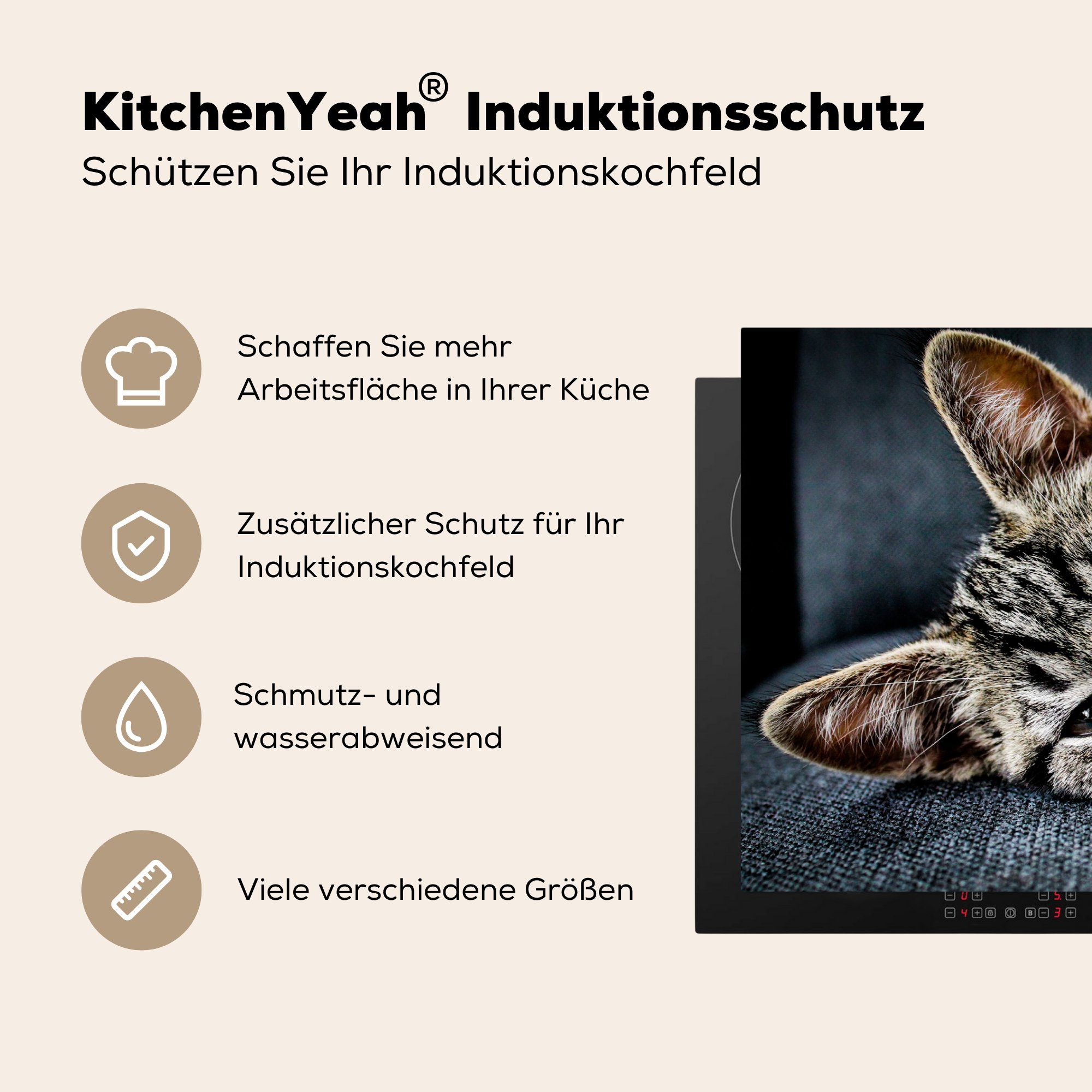 MuchoWow Herdblende-/Abdeckplatte Kater cm, Induktionskochfeld Ceranfeldabdeckung (1 tlg), Bank küche, Vinyl, Schutz für die - 81x52 Licht, 