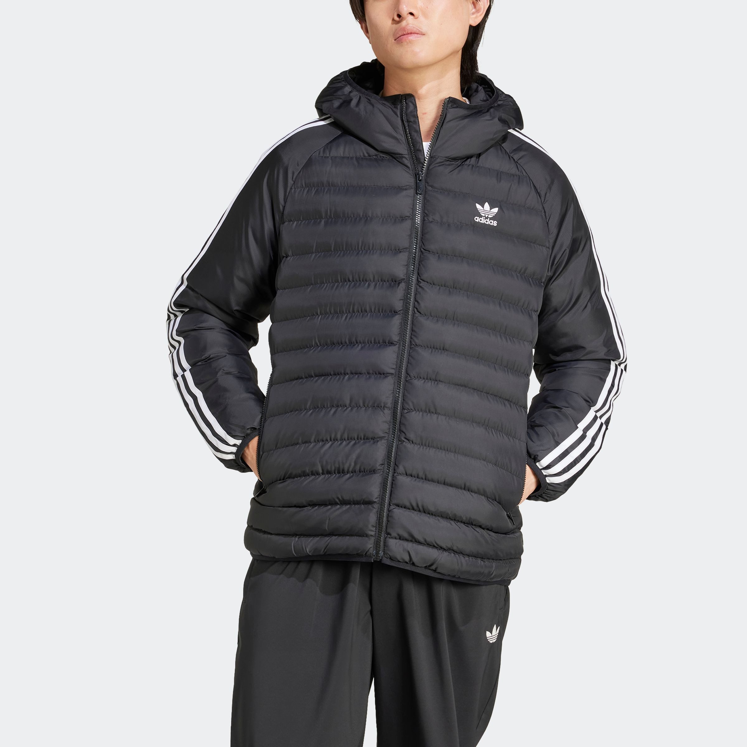 adidas Originals Steppjacke SYNTHETIC HOODED günstig online kaufen