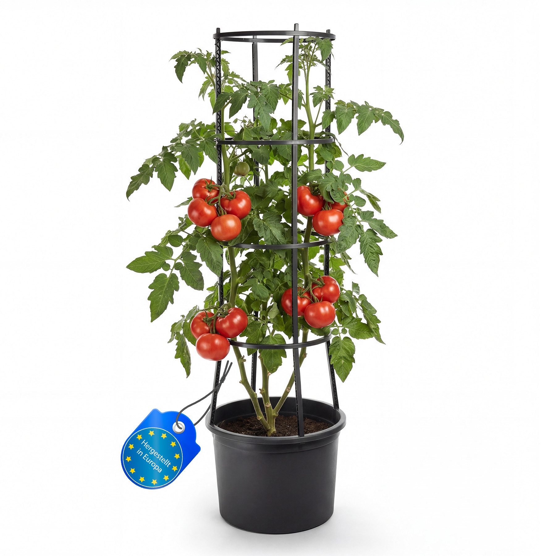 BigDean Pflanzkübel Tomatentopf mit Rankhilfe XL (Set, 1 St., Tomatentopf + Rankhilfe), Integrierter Wasserspeicher, Modulares Rankgitter, Wiederverwendbar