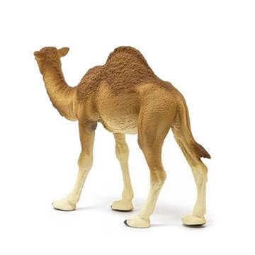 Sarcia.eu Spielfigur Schleich Wild Life - Dromedar Kamel, ab 3 Jahren