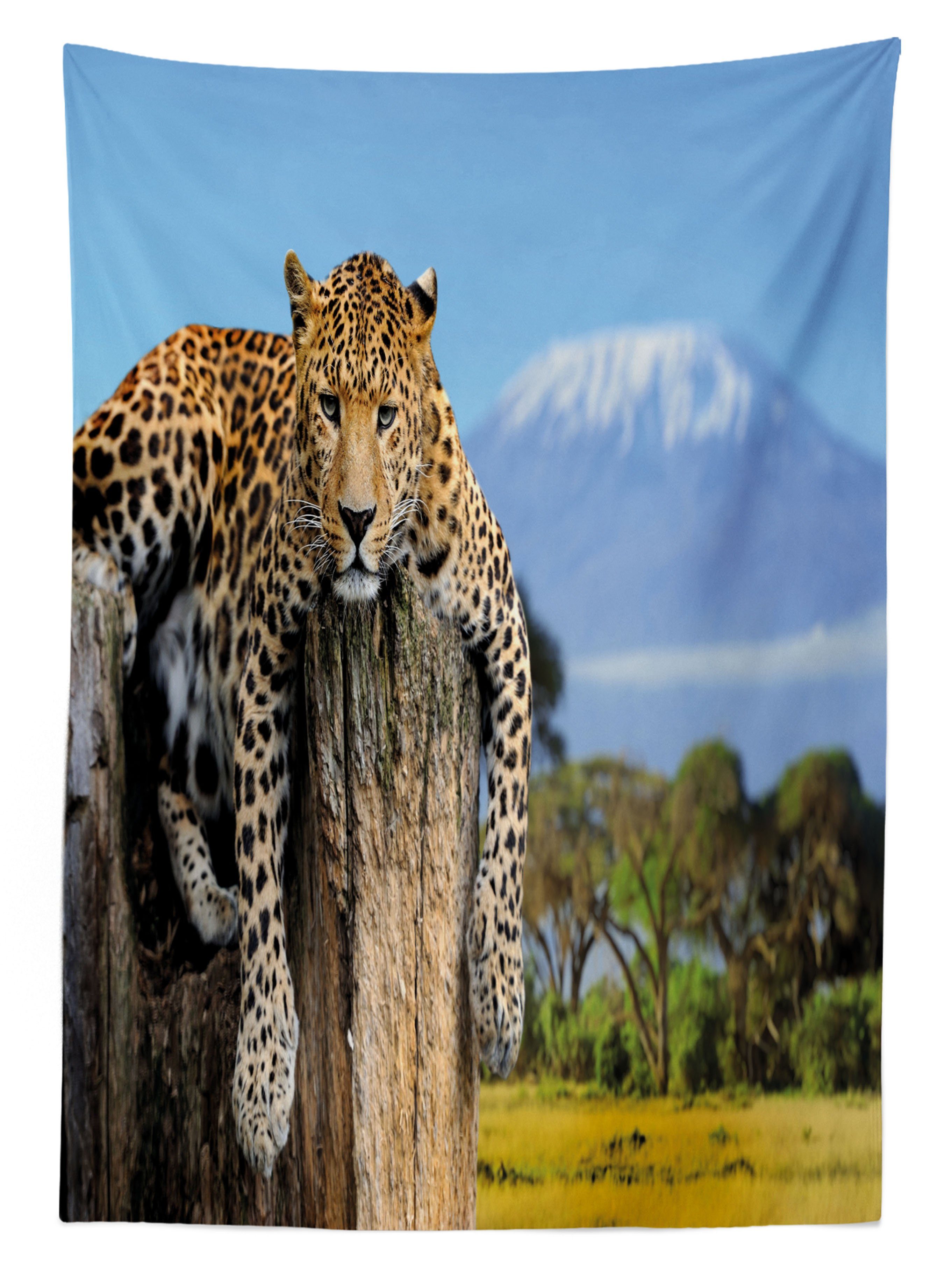 einem Farben, auf geeignet Außen Waschbar Tierwelt Farbfest Abakuhaus Baum Tischdecke Für Bereich den Klare Leopard