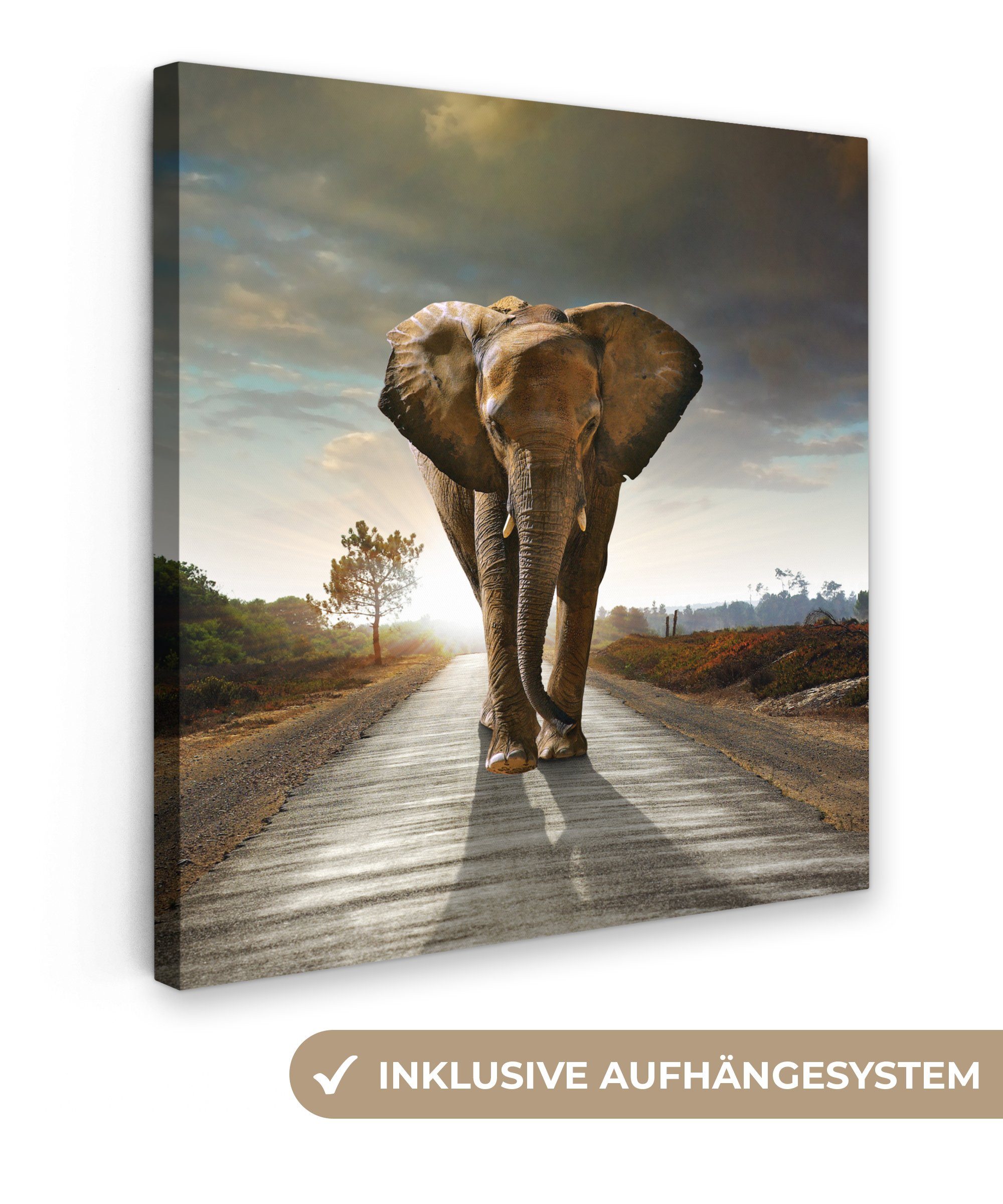 Leinwandbild Elefant - Straße - Tiere - Sonnenuntergang - Landschaft