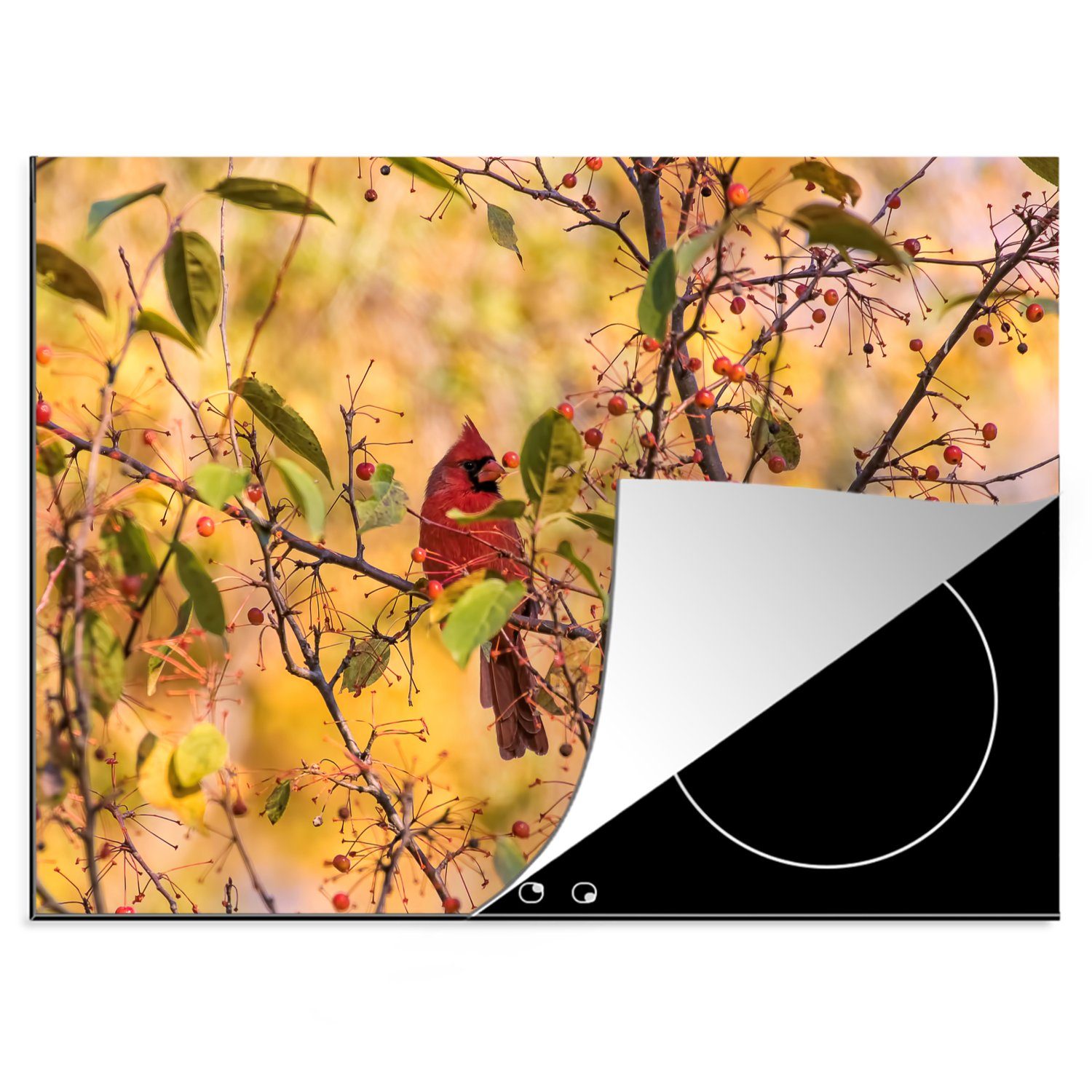 MuchoWow Herdblende-/Abdeckplatte Roter Kardinalvogel in einem Baum mit roten Beeren, Vinyl, (1 tlg), 70x52 cm, Mobile Arbeitsfläche nutzbar, Ceranfeldabdeckung