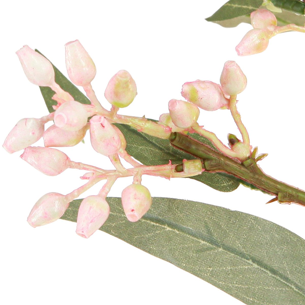 Künstliche Zimmerpflanze Eukalyptus Zweige Künstlich 75cm günstig online kaufen