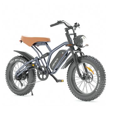 DOTMALL E-Bike E Bike jansno 20 Zoll 48V 14AH 500W Motor city bike Mountain bike